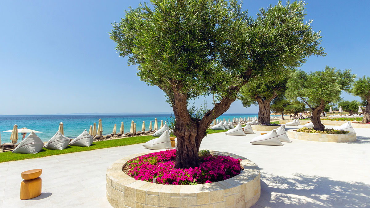 Ammoa Luxury Hotel & Spa